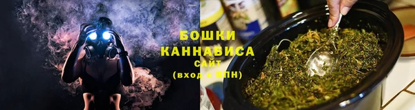 соль ск Белокуриха