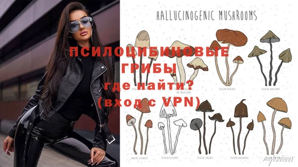 бутик Бородино