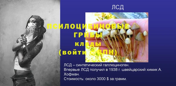 амф Белоозёрский