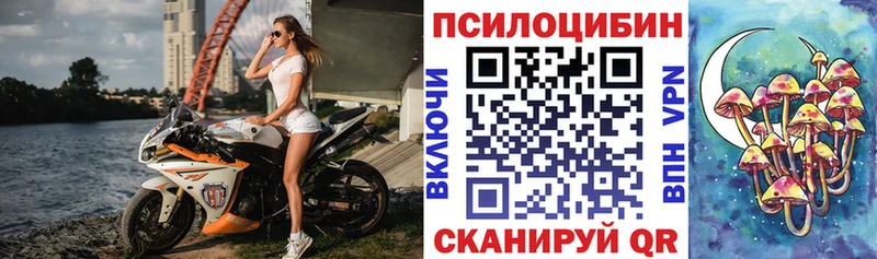 Галлюциногенные грибы Psilocybine cubensis Балахна